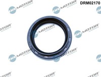 1X Dr.Motor Automotive DRM02170 Wellendichtring Differential FüR Renault Nissan