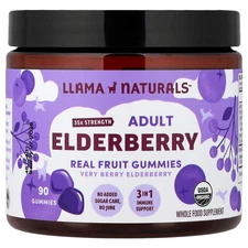 Adult Elderberry, Real Fruit Gummies, Very Berry Elderberry, 90 Gummies