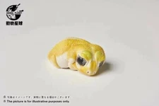 Animal Heavenly Body Levis Knob-tailed Gecko (Patternless) Statue
