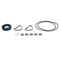 Dichtungssatz, Hydraulikpumpe Vaico V30-9962