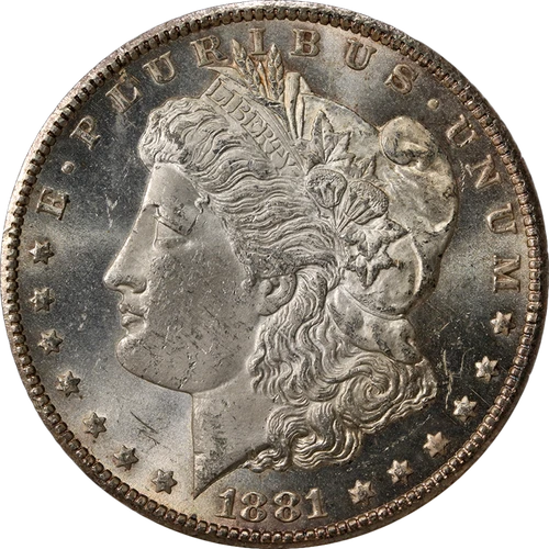1881-CC Morgan Silver Dollar ANACS MS63 Nice Eye Appeal Nice Strike