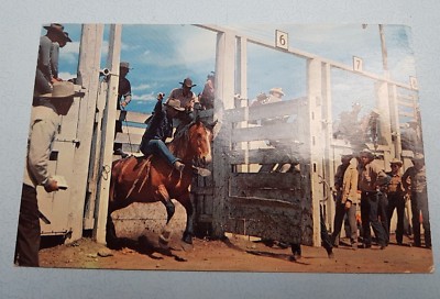 American Rodeo Ya Hoo Yowie Vintage Postkarte