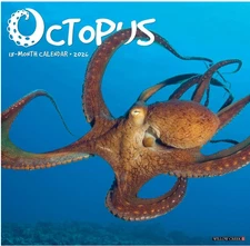 2026 Octopus 12 X 12 Wall by Willow Creek Press (2025, Calendar)