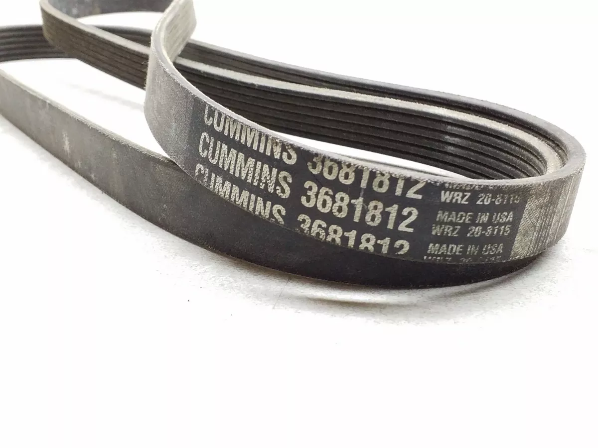 Cummins hot sale serpentine belt