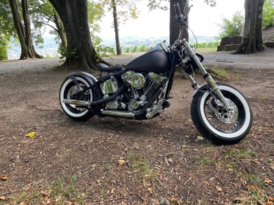 harley davidson ebay