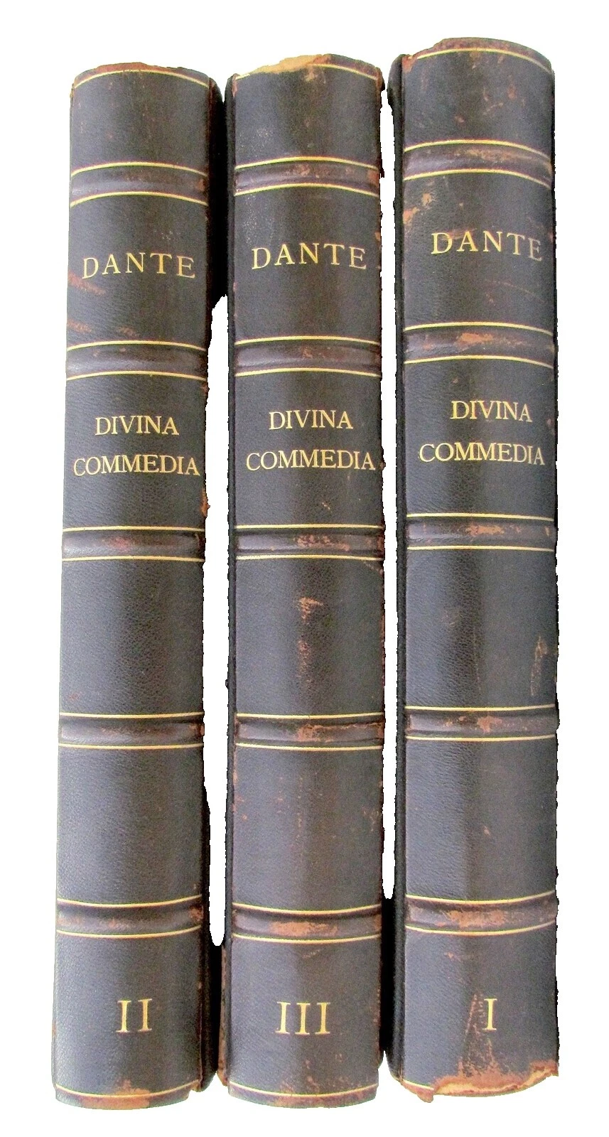 Leather Antiquarian & Collectible Books in Italian