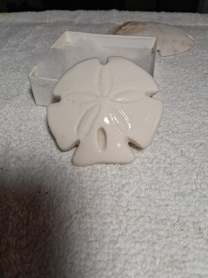 VTG Sand Dollar Natural Sea Shell Beach Resort Decor Crafts 2.5 Inch Diameter