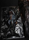 Bild 3 von 9