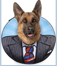 Cone Collar, Recovery After Surgery, Adjustable Blow Up Donut Size XL