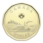 2026 Canada 1 Dollars Charles III $1 Loonie from First Strike Roll Canadian Loon