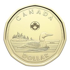 2026 Canada 1 Dollars Charles III $1 Loonie from First Strike Roll Canadian Loon