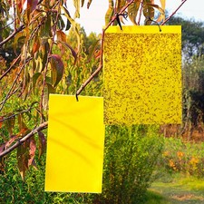 20X~Strong Sticky Fly Traps Fruit Flies Insect Catcher for Indoor Outdoor Garden