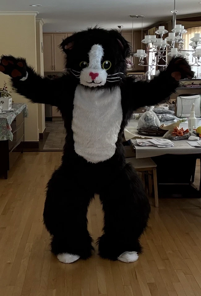 Lindo Disfraz de Gato Mascota Vestido Elegante para Hombre Mujer Foto 3 de 3