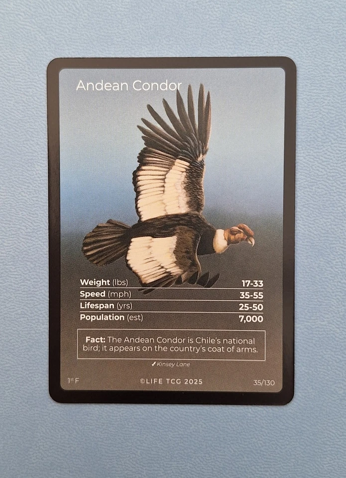 Life TCG Birds 1st Edition - Andean Condor - Fullart 35/130 | POP 700 - Bild 2 von 2