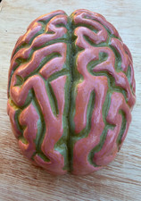 Vintage Human Brain Cement Painted Weird Prop Conversation Piece Halloween!