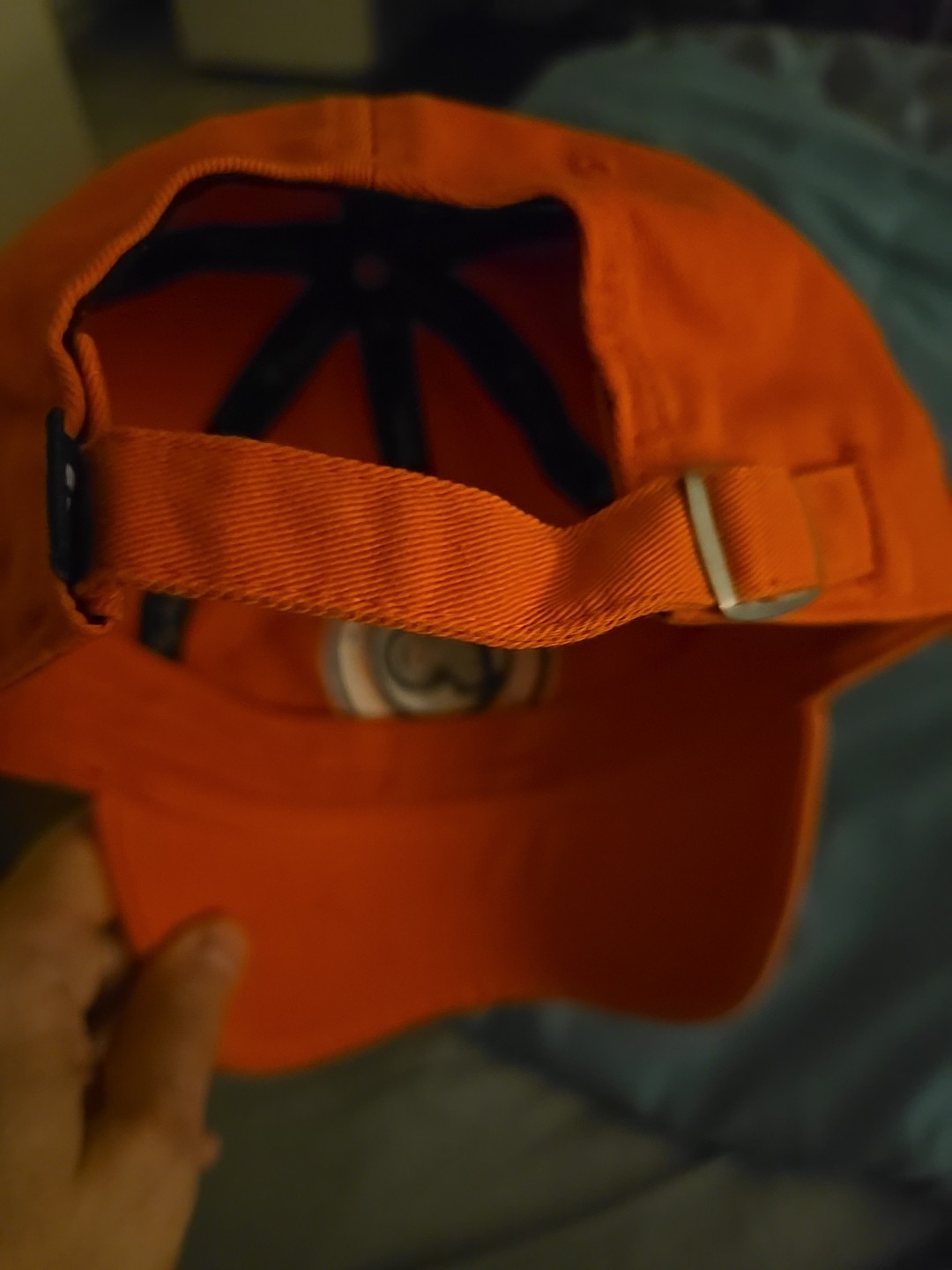 Foto 7 di 7