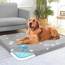 Waterproof Dog Bed for Large Dog, Memory Foam Orthopedic 38" X 26" X 1.5" Grey
