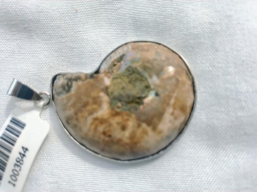 Natural Polished Split Ammonite Fossil Necklace Pendant Silvertone NWT - Picture 5 of 6
