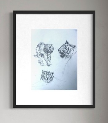 ORIGINAL ANIMAL DRAWING, TIGER STUDY, HAND DRAWN PENCIL on Paper 12X9 ART