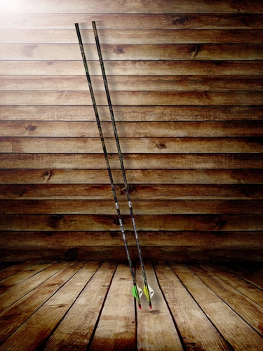 Beaman ICS Hunter Pro Arrows