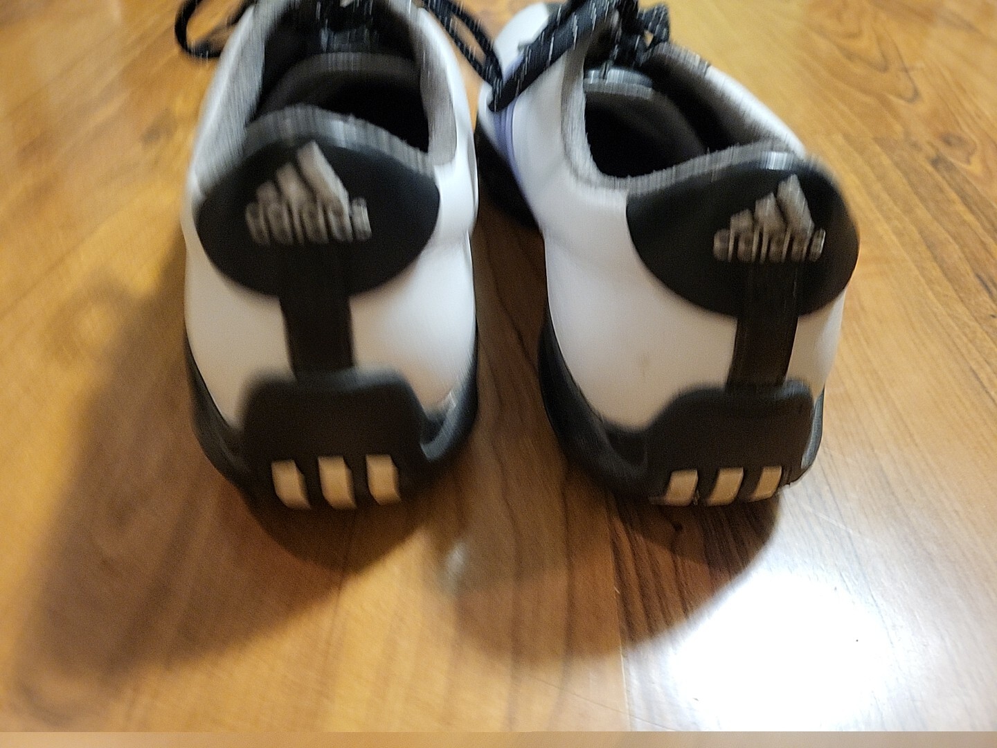 Picture 4 of 13