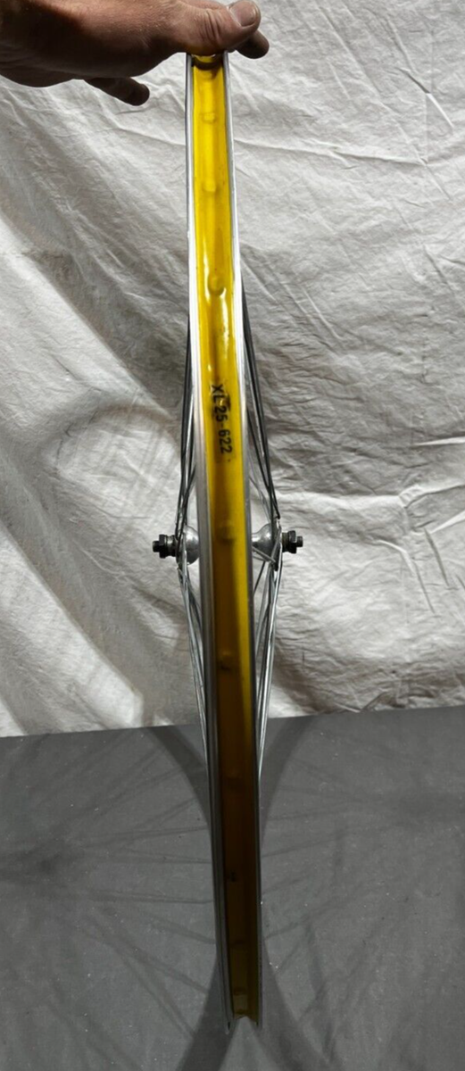 当時物！SANSHIN PROFESSIONAL アラヤホイール Vintage Araya 36-Spoke Silver 27 x 1-1/4