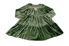 NWT Ralph Lauren 16 Girls Long Sleeve Green Velvety Knee-Length Winter Holiday