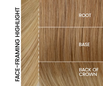 SIZZLE | Tressallure Wigs | Monotop Lace Front