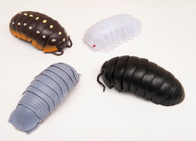 roly poly bug toy