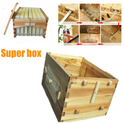 Auto Shed Beehives Super Box + 7 Plastic BPA free Beekeeping Frames Bee Frames