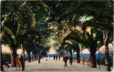 CPA AK Ventimiglia La Passeggiata delle Palme al mare ITALY (1461425)