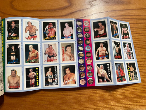 1982 BBM Japan Wrestling Magazine w/21 USA Wrestler Cards - Hulk Hogan Ric Flair