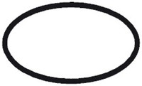 Hansgrohe HG O-Ring 44X4 98471000