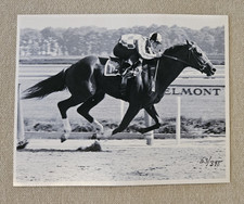 8x10 Photo, Secretariat in Belmont Stakes Workout, Numbered, Bob Coglianese