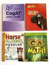 Almost NEW Lot of 4 Homeschool Teaching Activity Workbooks Reading Math Puzzles