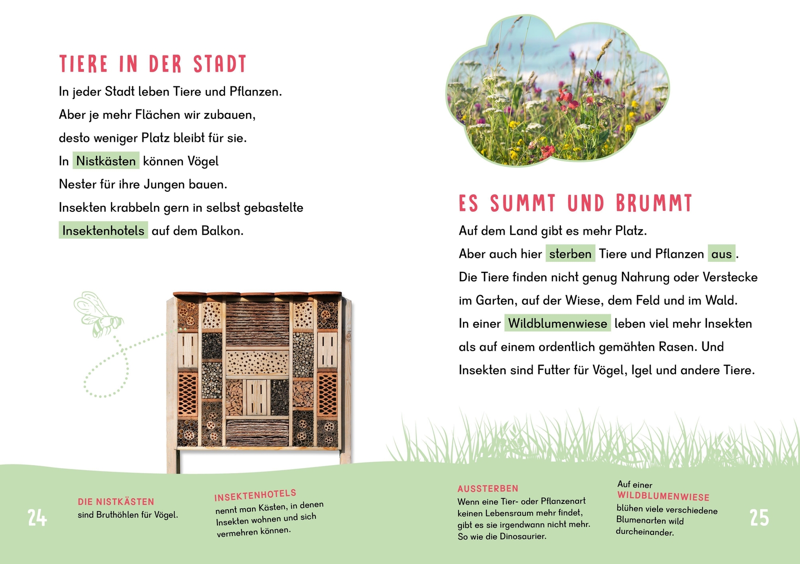 Thumbnail - Dein Lesestart - Umwelt | Lena Meltinger | Deutsch | Buch | Dein