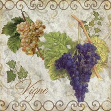 Ceramic Backsplash Tile Mural Fruit Kitchen/Bathroom - Pastoral Fruits II