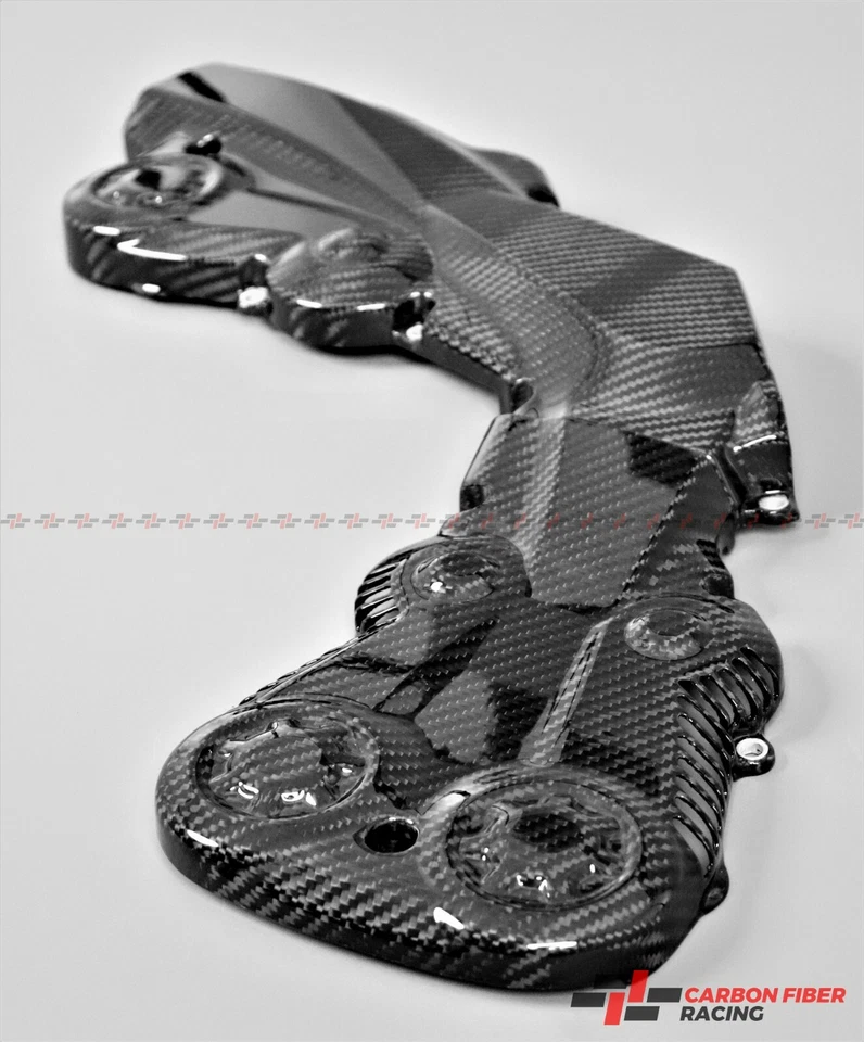 Fundas de cinturón Ducati Monster 821 1200/S, Streetfighter, SuperSport - fibra de carbono Foto 2 de 3