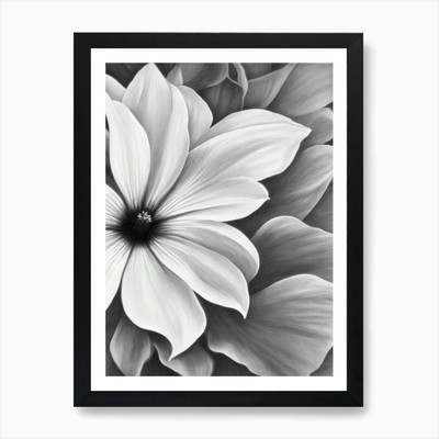 Morning Glory B&W Pencil 3 Flower A Framed Wall Art Poster Canvas Print Picture
