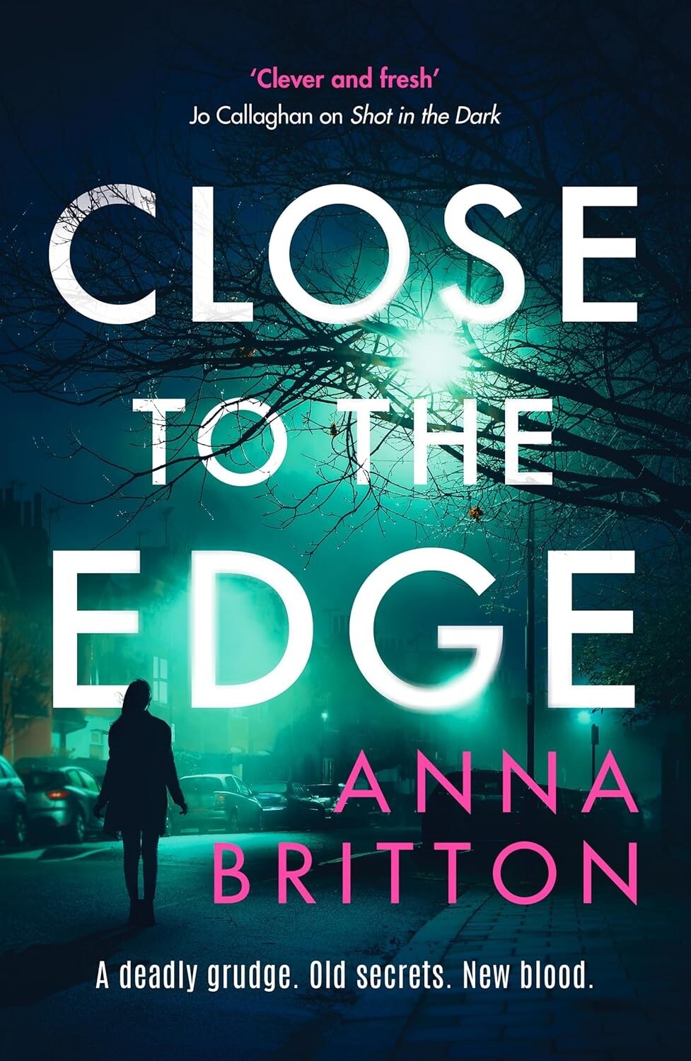 Anna Britton Close to the Edge Book NEW (Paperback) Detectives Martin & Stern 2