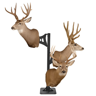 #ad #ad Trophy Tree Pedestal Deer Shoulder Tower Mount For Hanging and Display Taxidermy $56.05