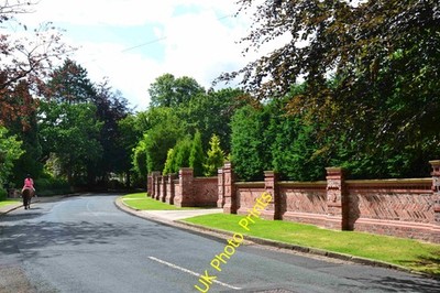 Foto A3 Ladythorn Halbmond, Bramhall Ein Pferd und Reiter auf einem Baum gesäumt r c2012