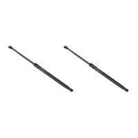 Gasfedern-Set Kofferraum 496 Mm 590 N Hub 186 Mm Stabilus FüR Renault ScÉNic