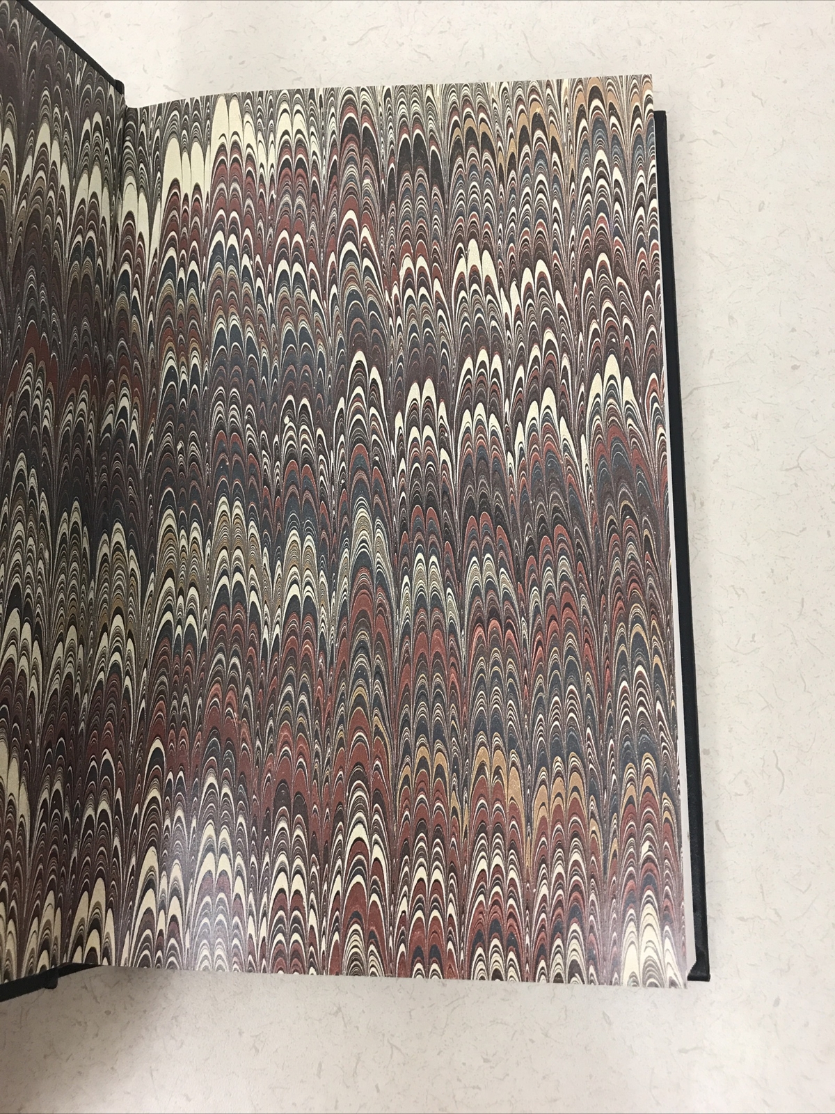 Picture 6 of 12