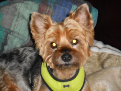 Buster's Beauty Boutique