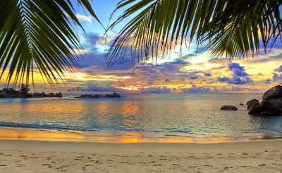 Ungerahmtes Foto Leinwanddruck Poster Bild Strand Tropen Karibik Meer Palme