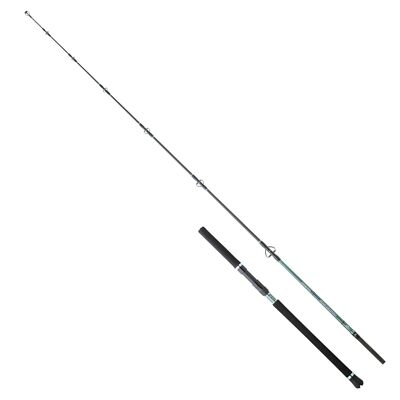 Hearty Rise Monster Game Tuna Hunter S 2,40m 40-130g - Meeresrute, Thunfischrute