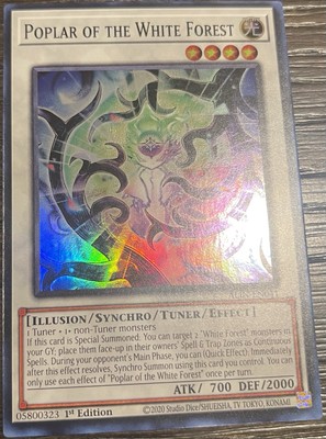 Poplar of the White Forest ALIN-EN041 Alliance Insight 1st Edition