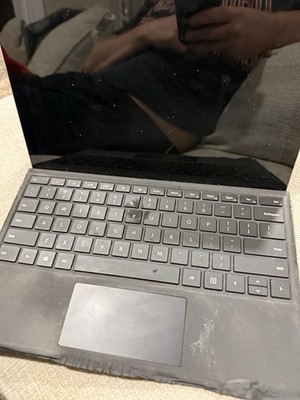 Microsoft Surface Pro 4 1724 256 GB