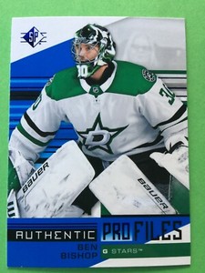 hockey authentic ebay